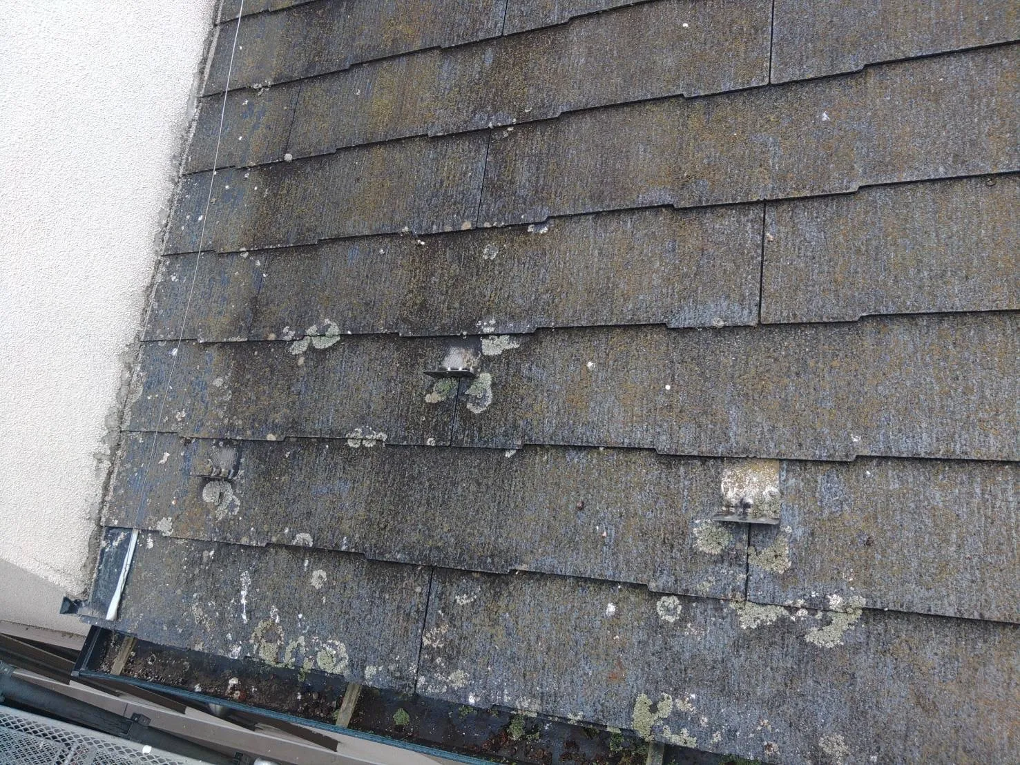 市川市　外壁・屋根塗装工事　一戸建て